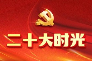 在伟大复兴的新征程上奋勇前进（二十大时光）——广大干部群众热议党的二十大报告