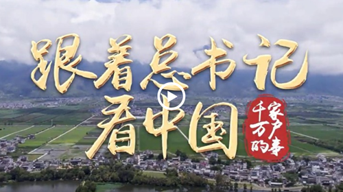 跟着总书记看中国｜守护洱海清波