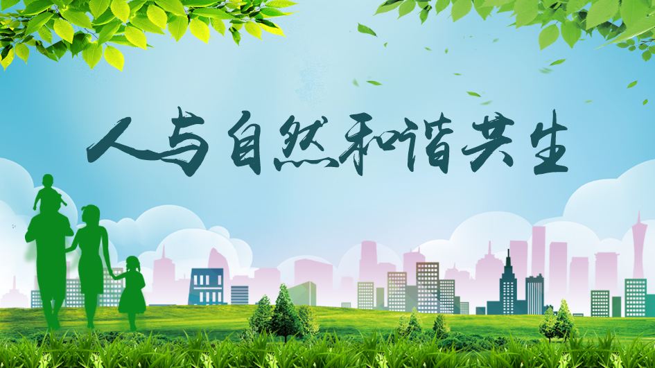 描绘人与自然和谐共生的美丽画卷（国际社会看中国这十年）