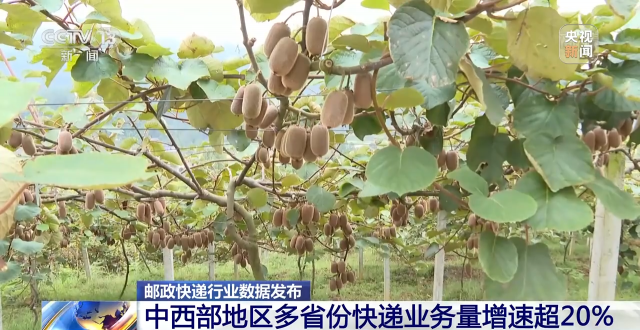 1—9月全国快递业务量超800亿件 中西部地区多省份快递业务量增速超20%