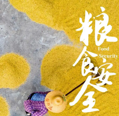2022年全国粮食安全宣传周启动
