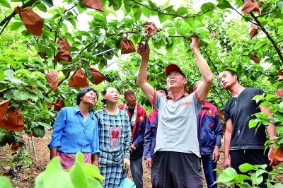 农民评职称，让更多“田秀才”脱颖而出