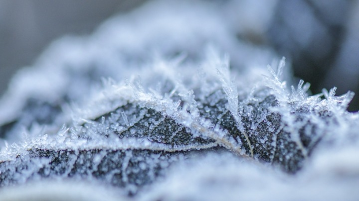 11月22日迎“小雪”节气