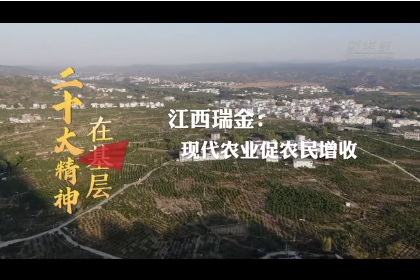 二十大精神在基层｜江西瑞金：现代农业促农民增收