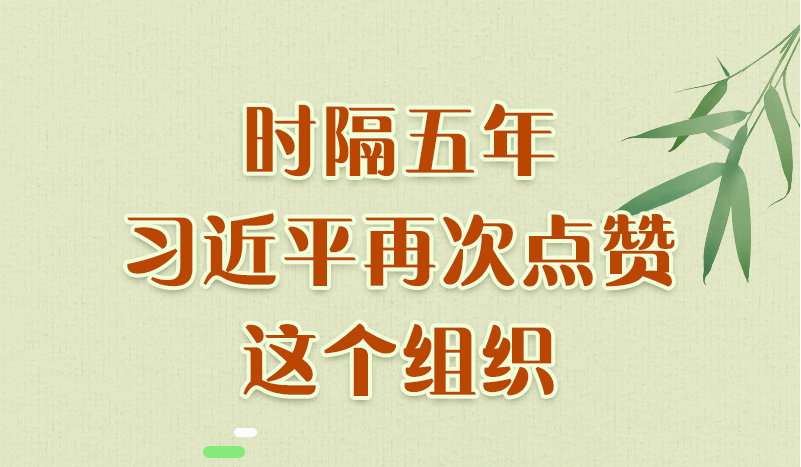 联播+｜时隔五年 习近平再次点赞这个组织