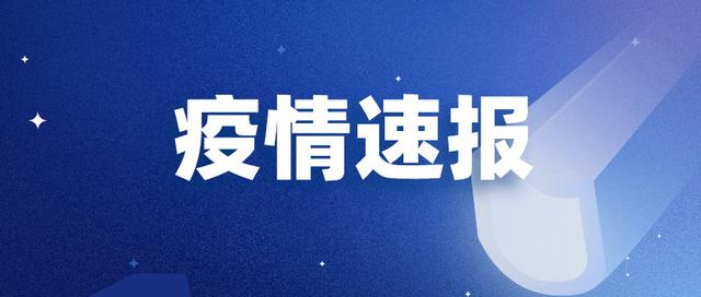 2022年11月14日0时至24时聊城市新型冠状病毒肺炎疫情情况