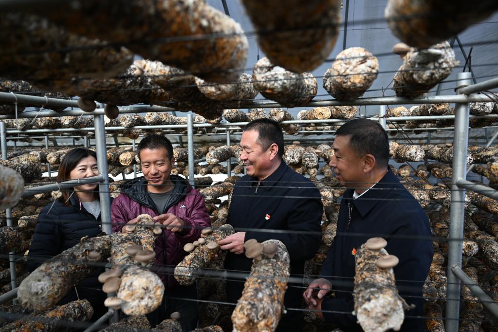 二十大代表在基层丨顾瑞利：当好乡村振兴“领头雁”