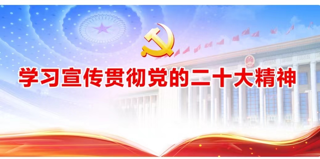 完善党的自我革命制度规范体系（认真学习宣传贯彻党的二十大精神）