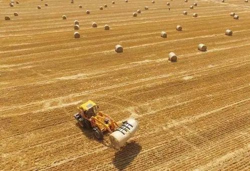 粮食丰、能源稳——今年以来我国强化粮食安全保障、提升能源保供能力观察
