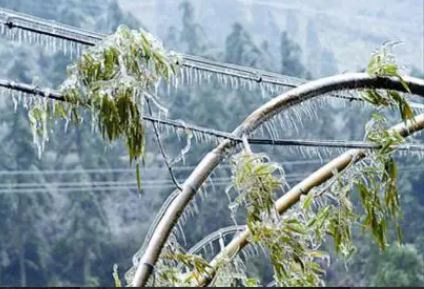 12月我国南北多地存在低温雨雪冰冻灾害风险