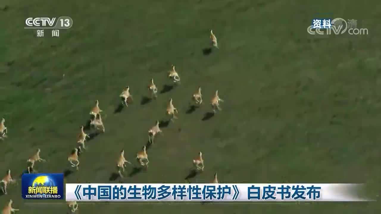 最高法发布《中国生物多样性司法保护》报告