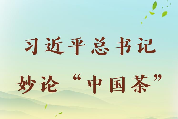第一观察 | 习近平总书记妙论“中国茶”