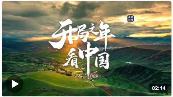 开局之年看中国丨每一颗汗水浇灌的种子 都会在春天发芽