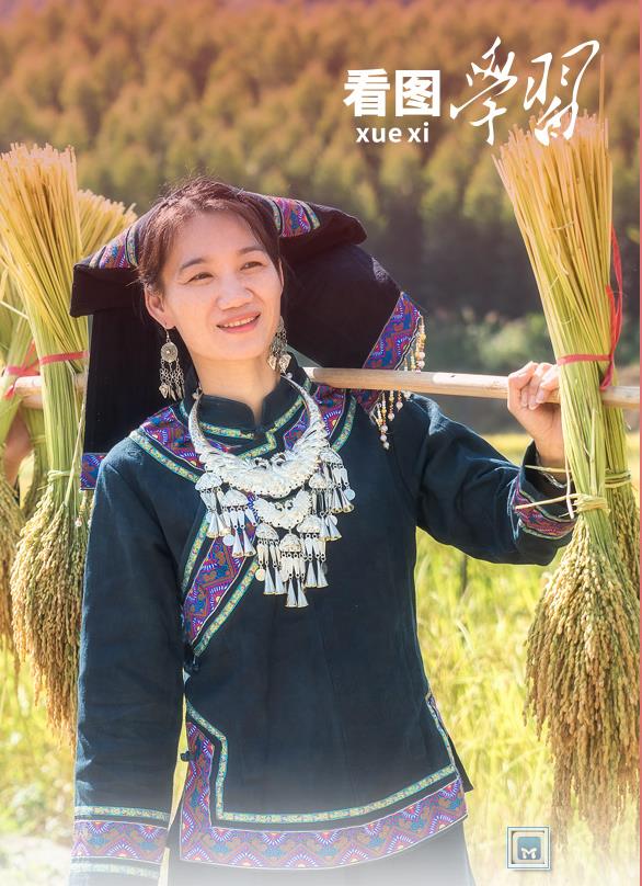看图学习·语短情长丨中华民族是个大家庭