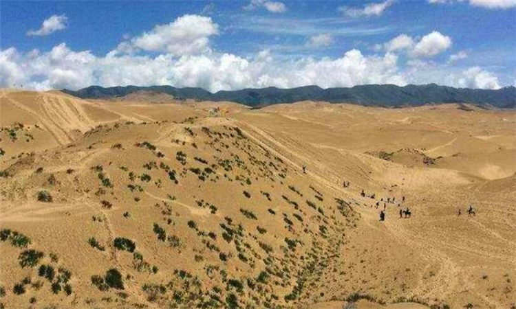 中国荒漠化沙化土地面积持续减少