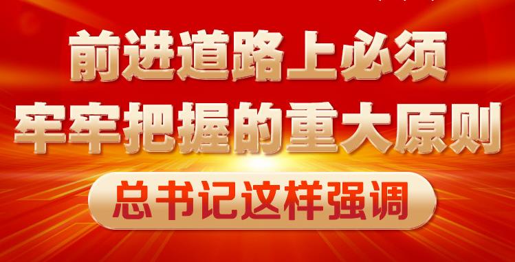 前进道路上必须牢牢把握的重大原则 总书记这样强调