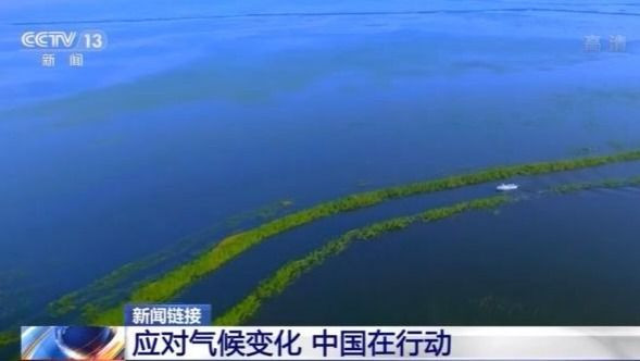 中国积极应对气候变化