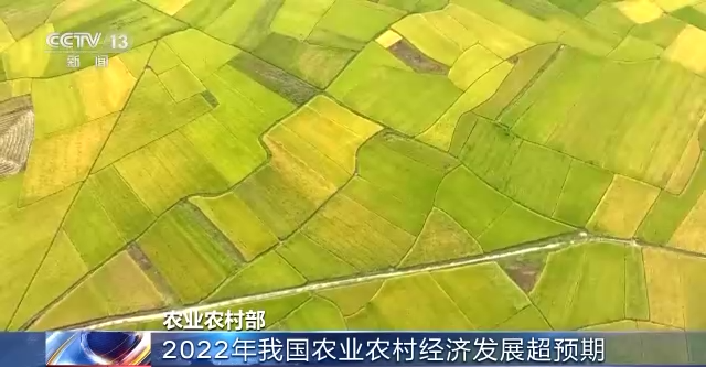 2022年我国农业农村发展成效超出预期