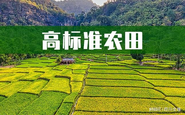 要数量也要质量！高标准农田山东这样建设