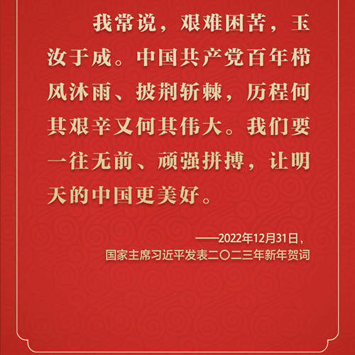 踔厉奋发 从习近平的新年贺词里汲取前行力量