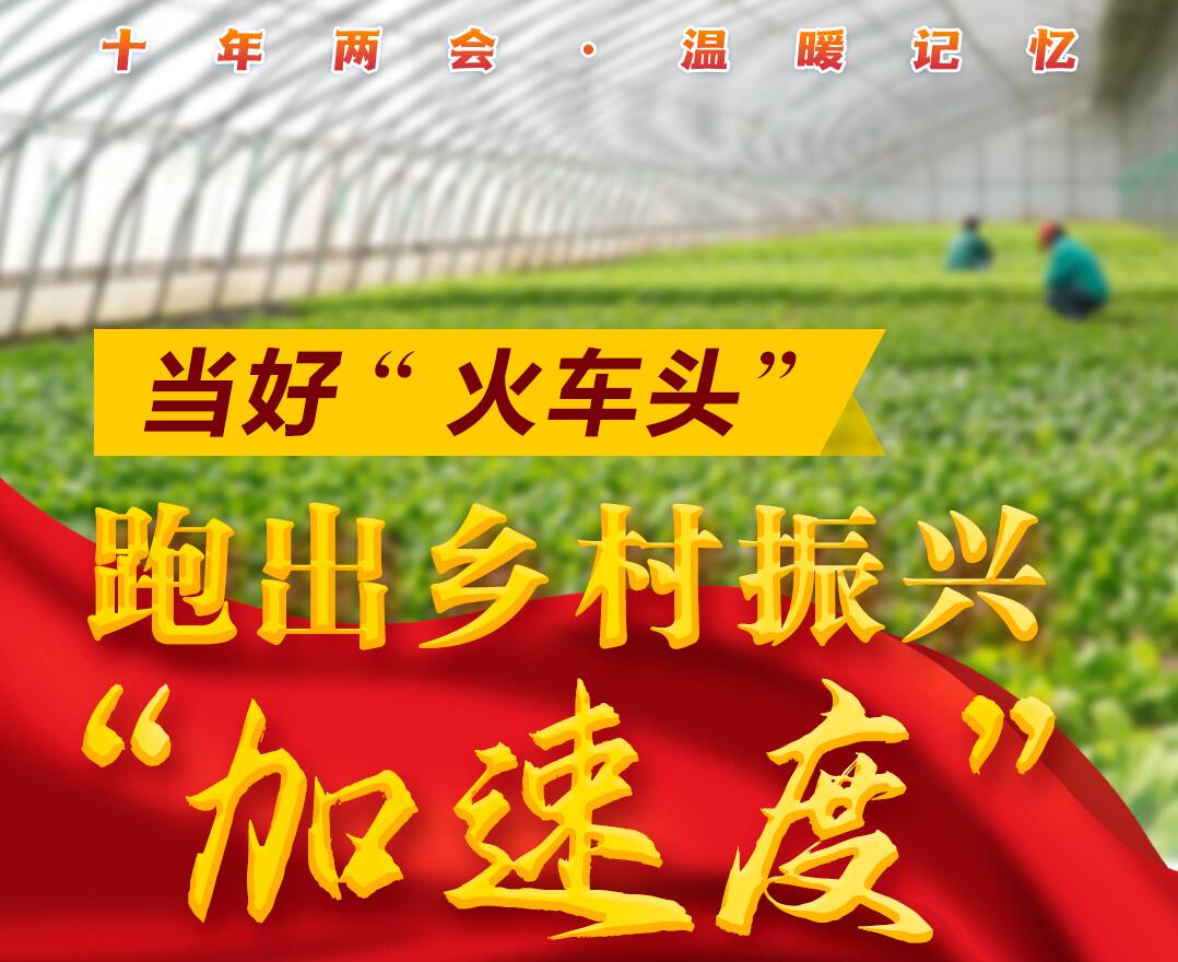 十年两会·温暖记忆｜“当好‘火车头’，跑出乡村振兴‘加速度’！”