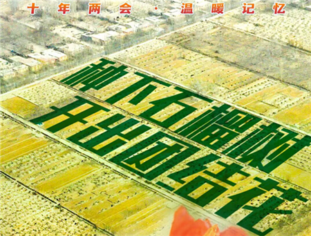 十年两会·温暖记忆丨“种下石榴树，开出团结花”