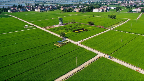 建好良田大国粮仓根基稳 超一半耕地建成高标准农田