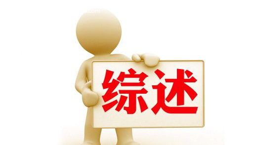 以数字变革推进教育强国建设——我国教育数字化工作取得积极成效综述