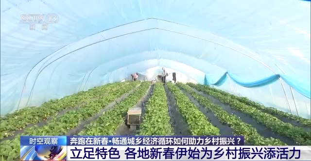 畅通城乡经济循环如何助力乡村振兴？答案看这里