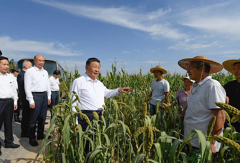 时政特稿丨总书记的“大食物观”