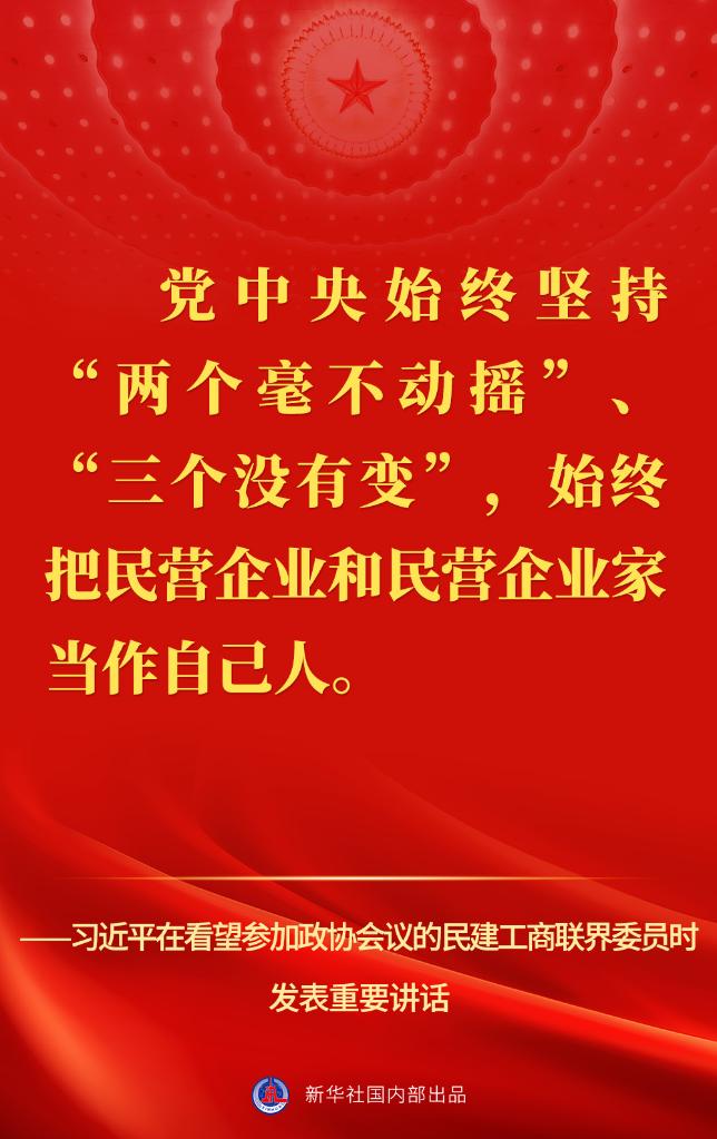 习近平在看望参加政协会议的民建工商联界委员时的讲话金句
