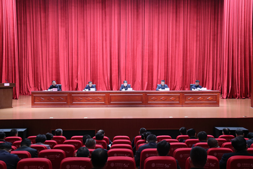 全市春季农业生产暨“吨半粮”高质量创建誓师大会在东昌府区召开