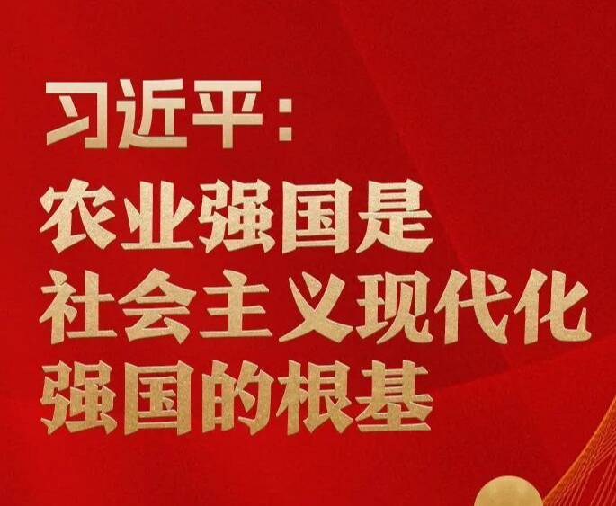 习近平：农业强国是社会主义现代化强国的根基