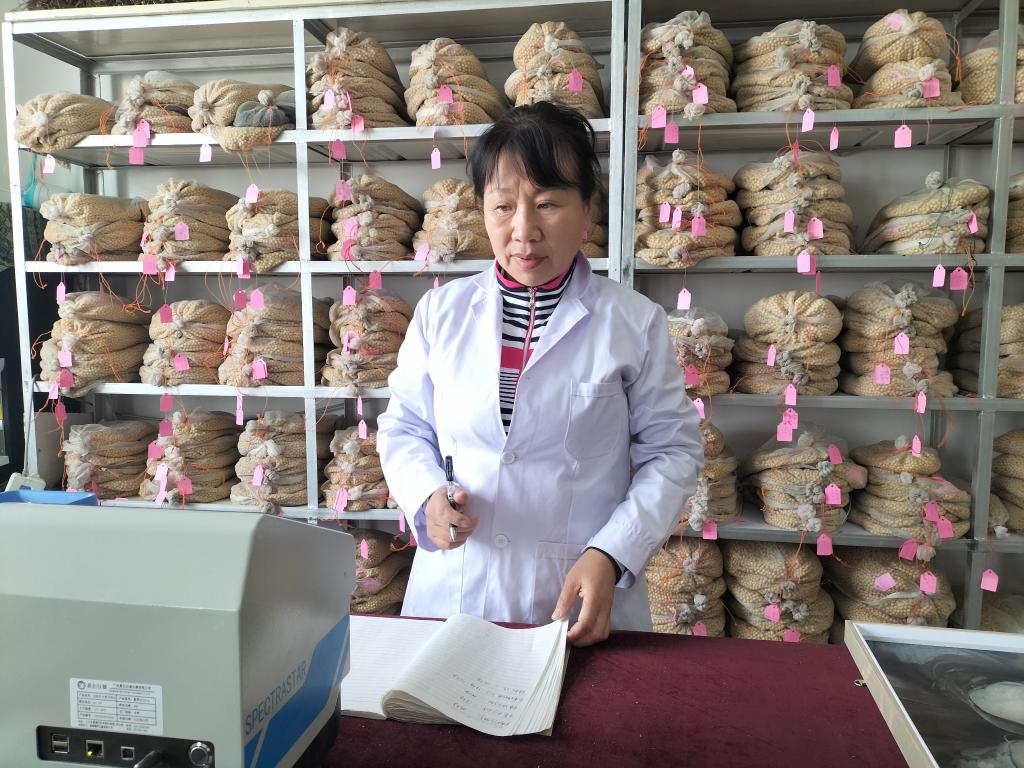 新时代新征程新伟业·全国两会精神看落实｜黑龙江：为“中国饭碗”备好更多优质粮