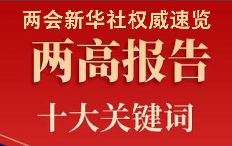 两会新华视点｜十大关键词解读两高报告