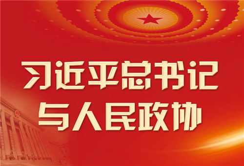 学习进行时丨习近平总书记与人民政协