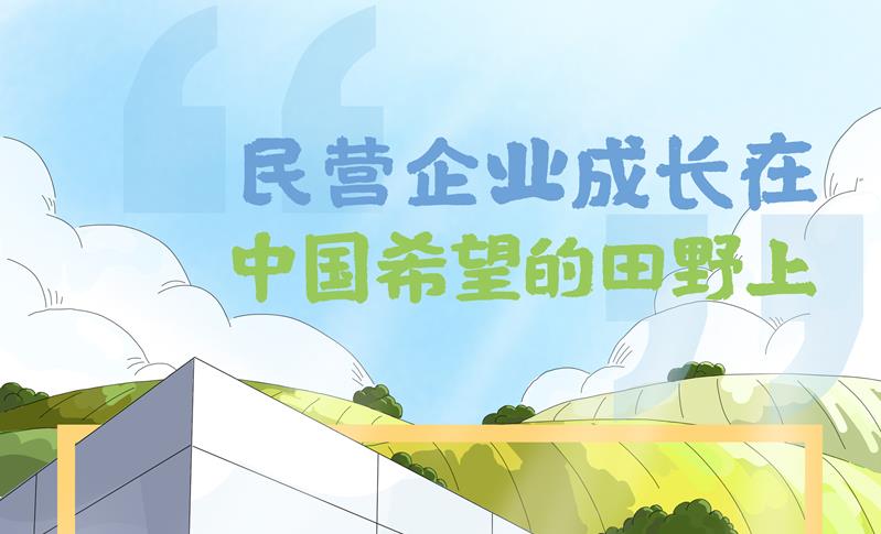两会绘中国｜“民营企业成长在中国希望的田野上”