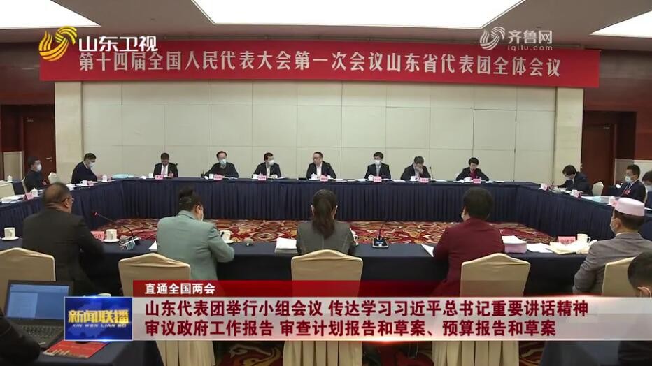 山东代表团举行小组会议 传达学习习近平总书记重要讲话精神 审议政府工作报告 审查计划报告和草案、预算报告和草案