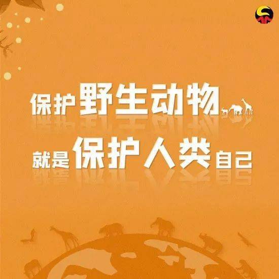 公安机关开展专项行动：保护野生动物，守护多样之美