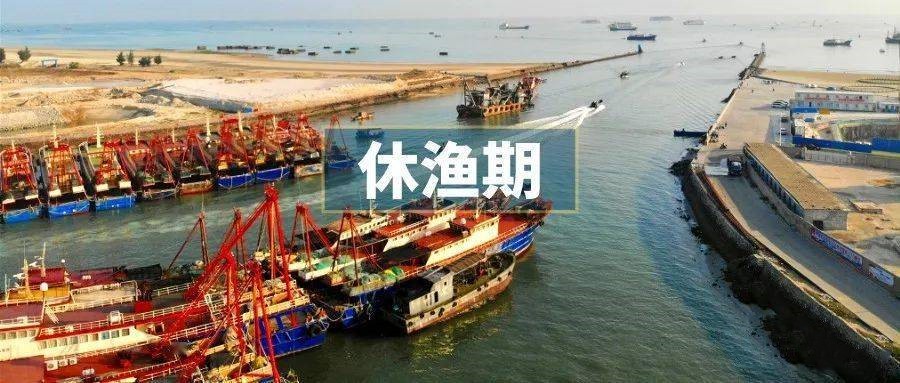 农业农村部调整海洋伏季休渔制度