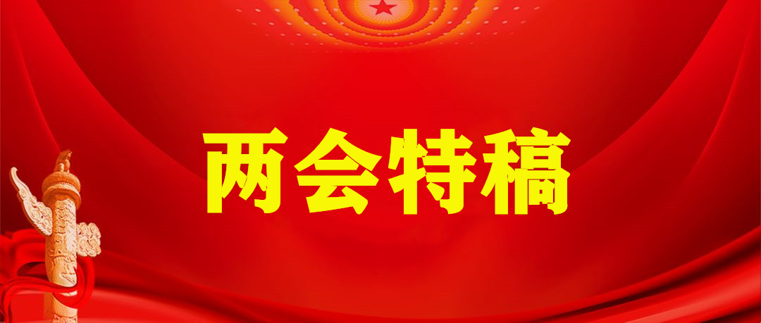 两会特稿｜凝心聚力，共襄民族复兴历史伟业——来自全国政协十四届一次会议分组审议现场的报告