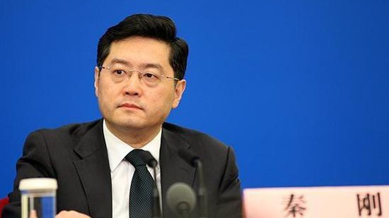 秦刚同马来西亚外长赞比里举行会谈