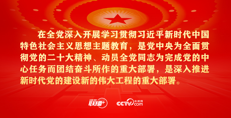 如何开展这项主题教育？中央明确方向