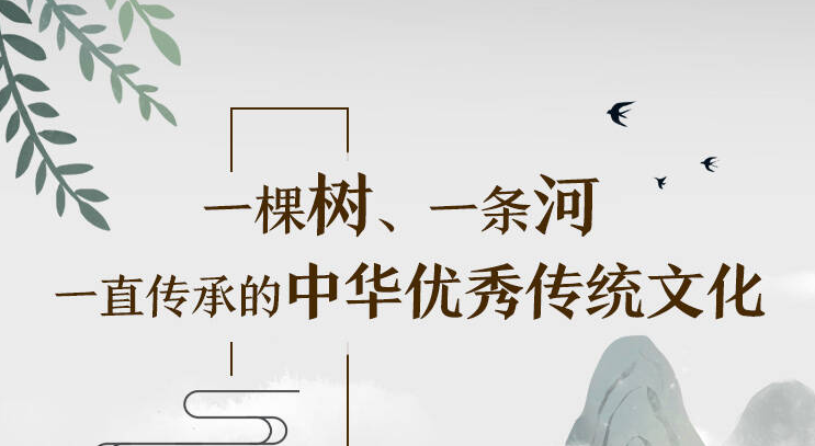 漫漫说 | 一棵树，一条河，一直传承的中华优秀传统文化