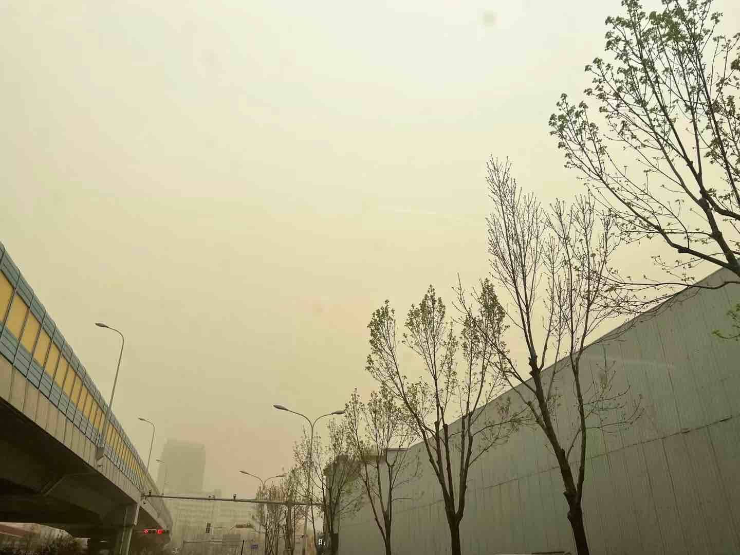 山东继续发布沙尘暴黄色预警 济南等8市仍有浮尘