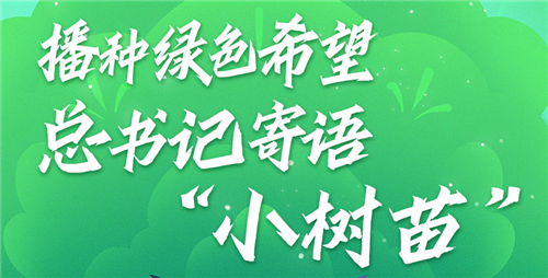 学习进行时｜播种绿色希望 总书记寄语“小树苗”