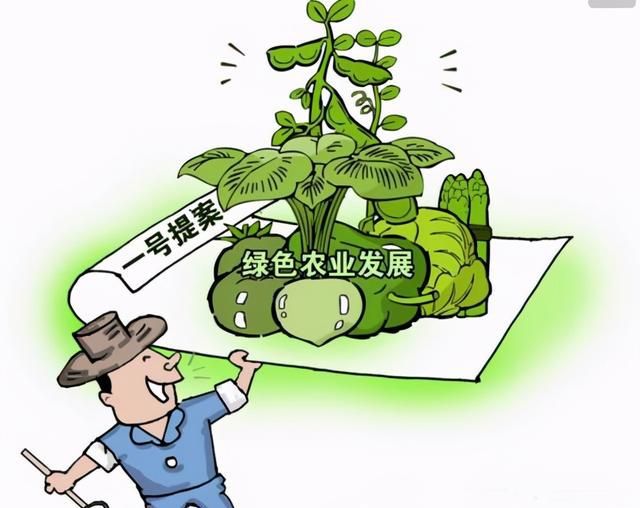 我国首个农业农村低碳发展报告发布