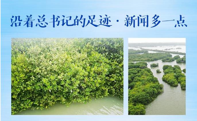 沿着总书记的足迹·新闻多一点丨总书记关心的这些“海岸卫士”