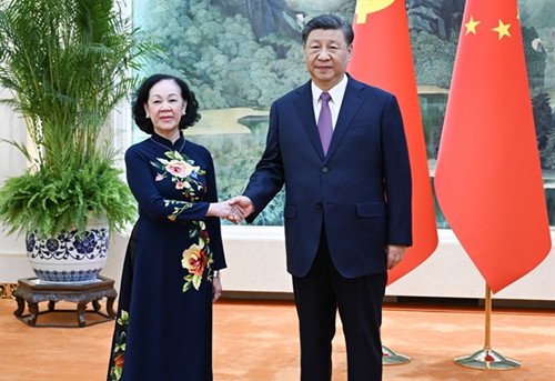 习近平会见越共中央政治局委员、中央书记处常务书记、中组部部长张氏梅