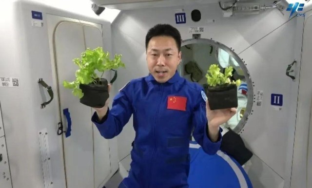 “天宫种菜梦”已经实现 那么我们离“太空菜园”还有多远？